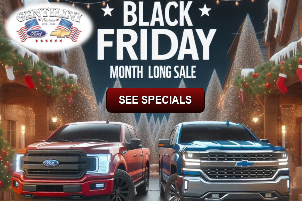 Black Friday Month Long Sale!